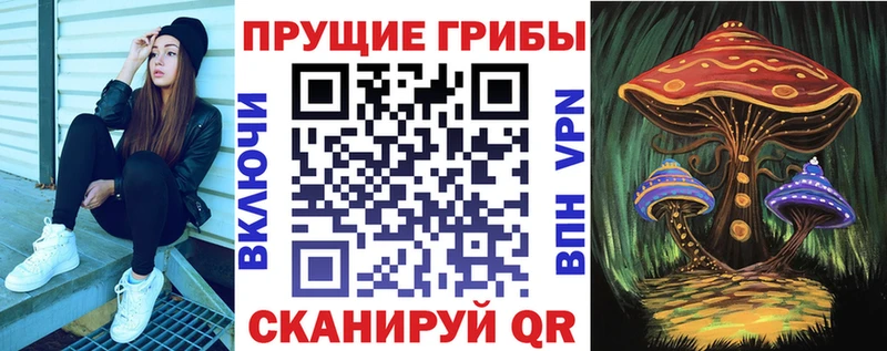 где купить наркотик  Таштагол  Галлюциногенные грибы Cubensis 